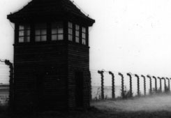 Exposiciones nacionales en el museo Auschwitz-Birkenau